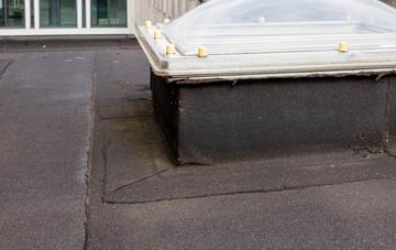 disadvantages of Tarpots flat roofs