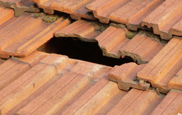 roof repair Tarpots, Essex